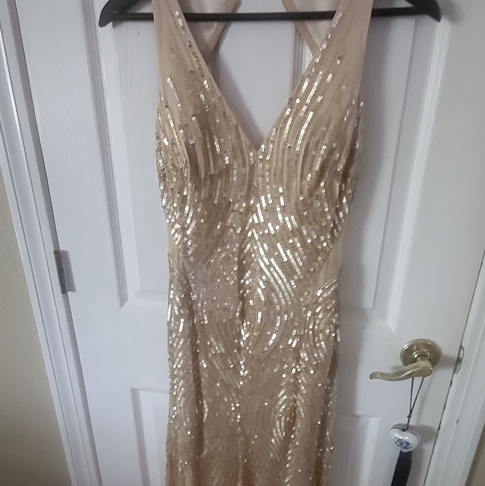Cache Beige Satin Dress